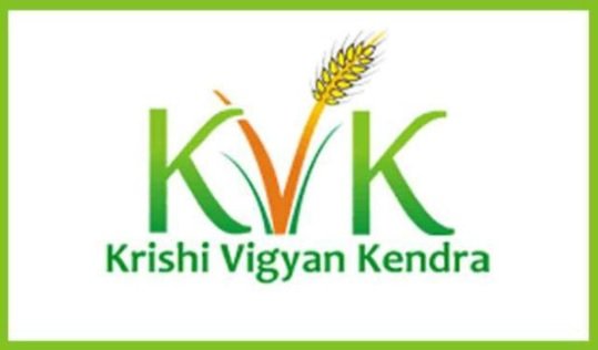 KVK